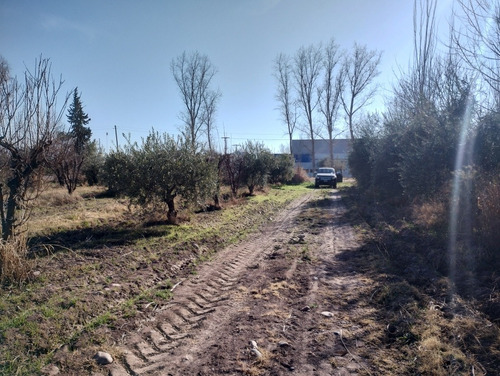 Imagen 6 de 11 de Terreno 10mts/2 Oportunidad