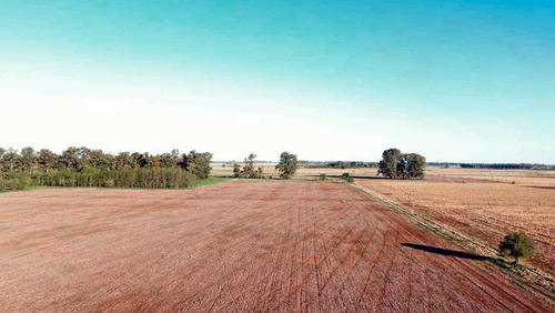 Imagen 7 de 10 de Campo Mixto De 46 Has - La Porteña, Lobos