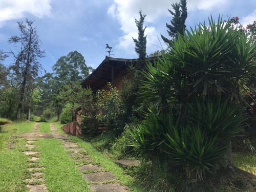 Imagem 12 de 16 de Excelente Sitio Em Itapecerica Da Serra, Área Comercial E Com Plantio De Eucalipto. - 122 - 69234465