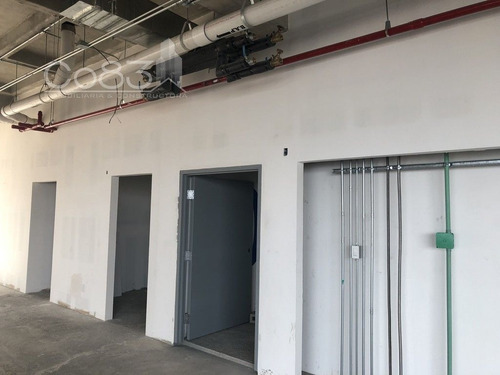 Imagen 14 de 19 de Renta - Oficina - Insurgentes Sur - 720 M2 - Piso 1