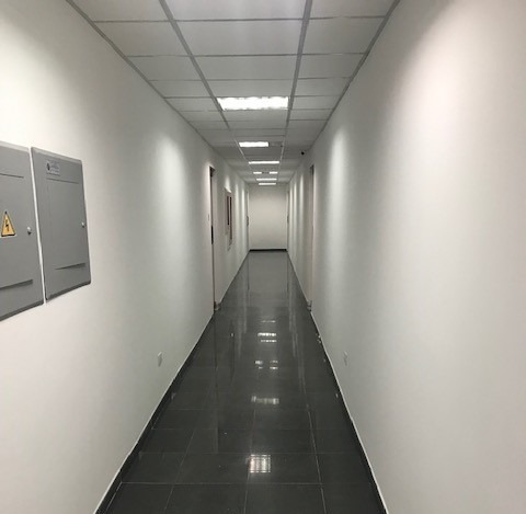 Imagen 6 de 11 de Oficinas En Alquiler La Castellana 127 M2