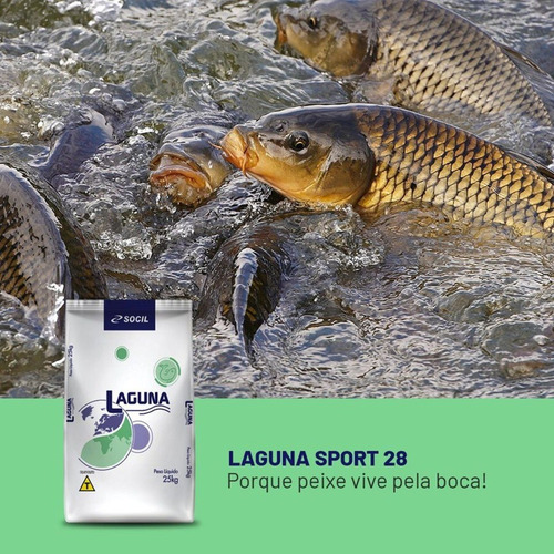 Ração De Peixe Ceva Criação Pesca Tamba Tilápia 6 A 8mm 2kg