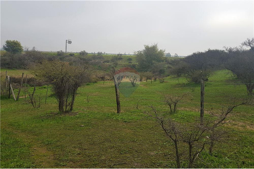 Sector Los Laureles - Terreno En Limache 5000 Mt