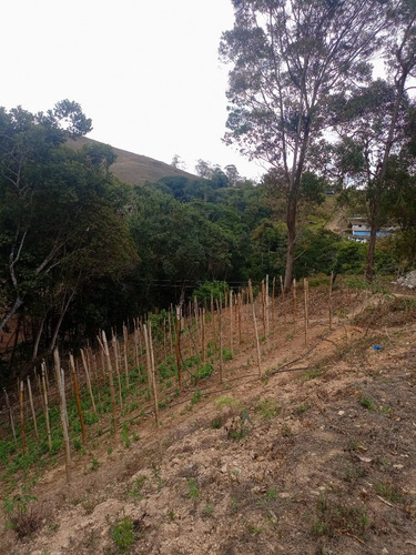 Imagen 10 de 13 de Best House Vende Increíble Terreno En Loma De Urquía En Los Altos Mirandinos