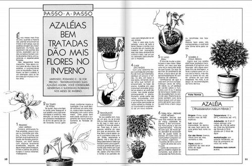 Revista Natureza 400, de Editora Europa. Editorial Editora Europa Ltda., capa mole em português, 2021