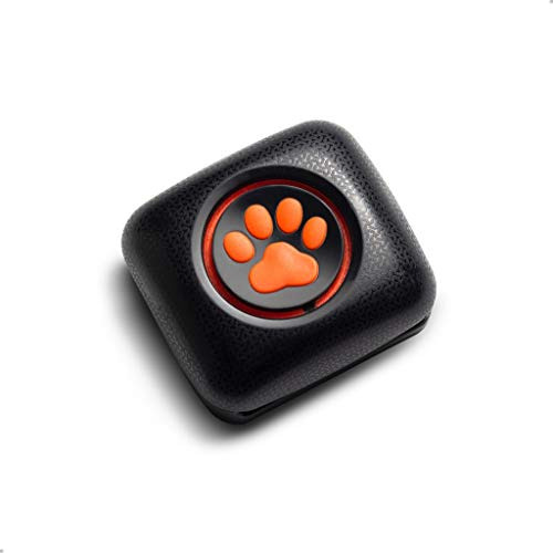 Monitor De Actividad Y Fitness Para Perros Pitpat (sin Gps)