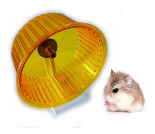 Vendo Hamster Ruso Con Hamstera En Rosario Hamsters Mercadolibre Com Ar Vendo Hamster Ruso Con Hamstera En Rosario Hamsters Mercadolibre Com Ar
