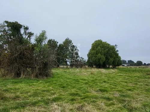 Parcela En Frutillar: Naturaleza Y Conectividad