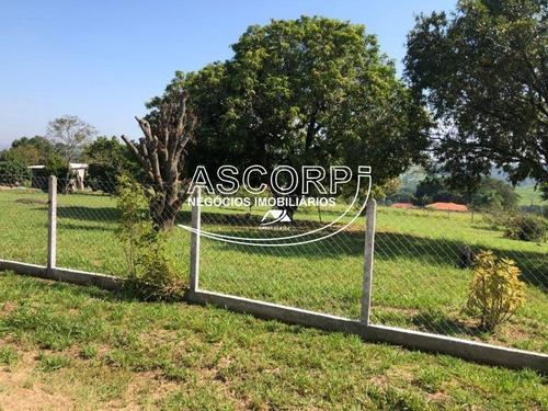 Imagem 6 de 8 de Ótima Chácara Em São Pedro. (código Ch00056) - Ch00056 - 70715263