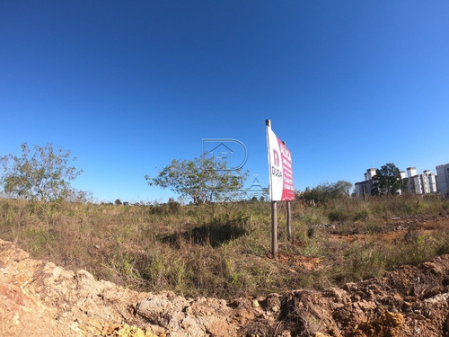 Imagem 6 de 7 de Terreno Comercial - Cristo Redentor - Ref: 34079 - L-34076