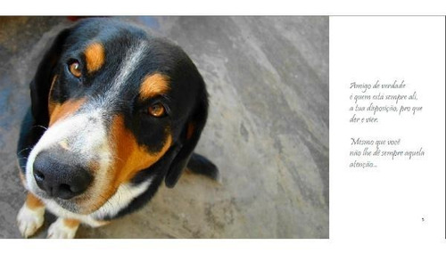 Livro Um Tratamento De Amigo