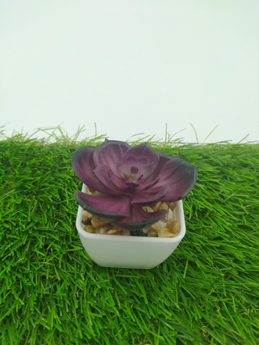 Imagen 10 de 10 de Plantas Artificiales Minimalista