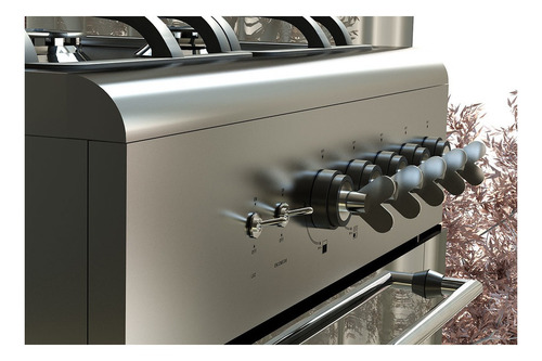 Imagen 4 de 5 de Cocina Luxor Gas Apart 550 multigas 4 hornallas plateada 220V puerta con visor