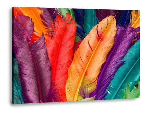 Cuadro Canvas Moderno Plumas De Colores Para Sala Hd 80x45cm