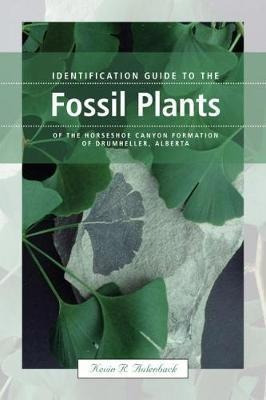 Identification Guide To The Fossil Plants Of The Horsesho...