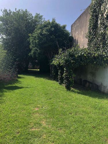 Imagen 4 de 6 de Casa En Venta En Jose Leon Suarez