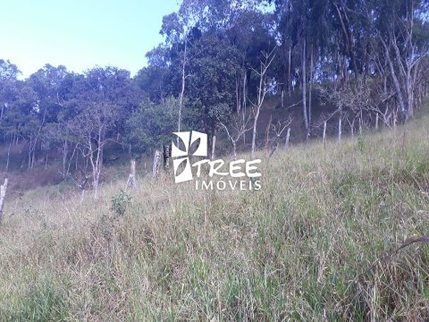 Imagem 14 de 15 de Venda De Terreno Em Santa Isabel Com A/t 27.600m² Com 2 Lagos Todo Cercado 70% Pastagem. - Te00814 - 69937338
