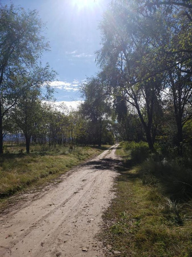 Imagen 16 de 29 de Campo En Venta Santa Teresa, La Cumbrecita