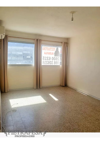 Apartamento En Venta Con Renta, 3 Dormitorios - Euskalerría 71 - Mavin Norte