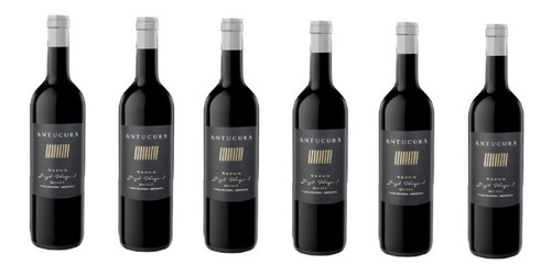 Vino Antucura Yepun Malbec Single Vineyard