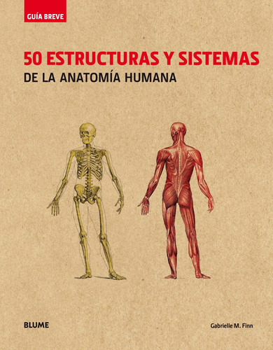 50 Estructuras Y Sistemas De La Anatomia Humana. Guia Breve