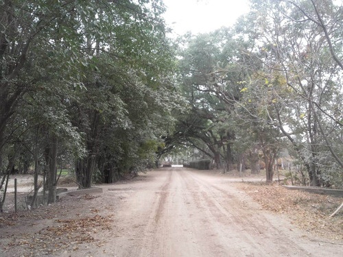 Imagen 11 de 14 de Venta Terreno La Verbena Ruta Nacional 51 Financia