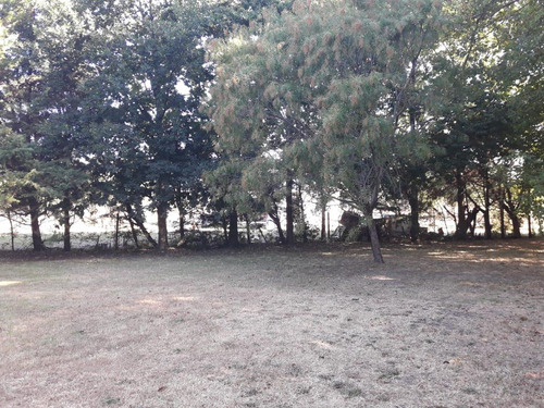 Terreno En Venta - 20 X 56mts - 1123mts2 - El Rodeo, Abasto, La Plata