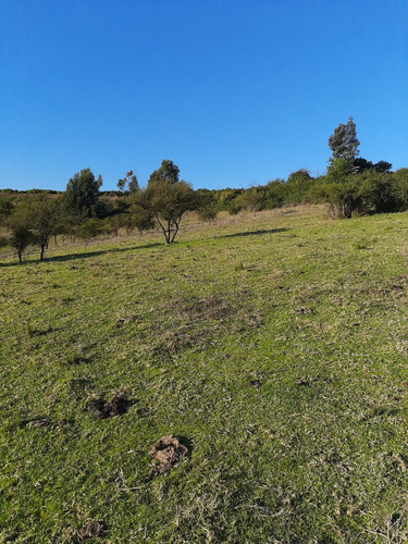Excelente 2 Sitios 5.000 M2 C/u, Los Laureles/ Limachi