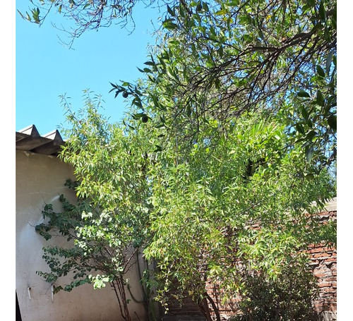 Venta Casa Dos Pisos 3dorm. 1baño Comuna El Bosque