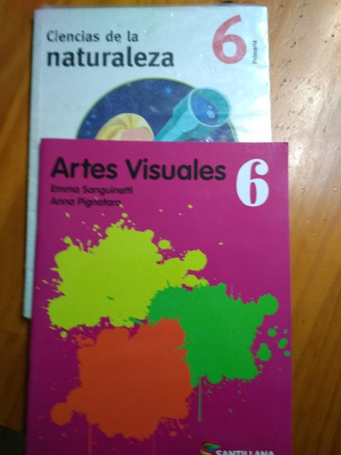 Ciencias De La Naturaleza 6 Artes Visuales 6 Santillana