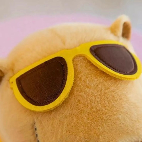 2 Peluches De Capibara 22cm Kawaii Regalo Para Niños