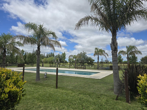 Venta Terreno En Campos De La Enriqueta