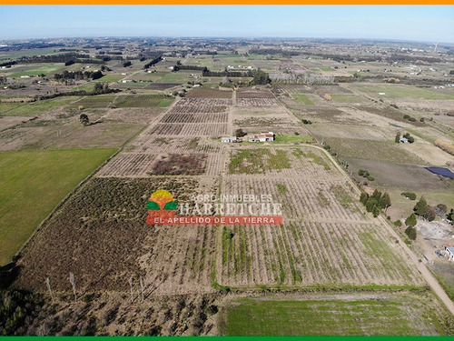 Chacra 14 Has En Venta De 2 Dormitorios En Progreso