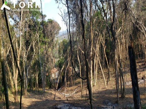 Imagem 4 de 5 de Lotes No Condomínio Sítios Lagos À Partir De 175 Mil - Tc00040 - 70191086