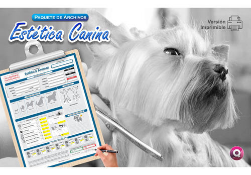 Formatos Para Estética Canina