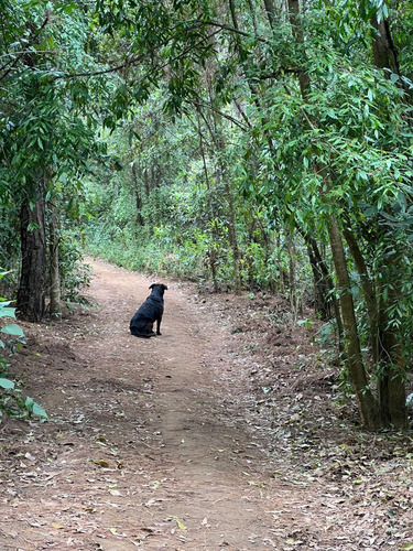 Terreno Rincón Jaímes