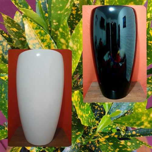 Imagen 8 de 8 de Ficus Lyrata Oferta !!!