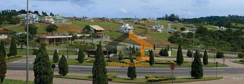 Imagem 18 de 30 de Terreno À Venda, 660 M² Por R$ 350.000,00 - Condomínio Villagio Paradiso - Itatiba/sp - Te1097