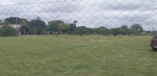 Imagen 2 de 13 de Galpón En Alquiler De 3000m2 Ubicado En Mi Granja