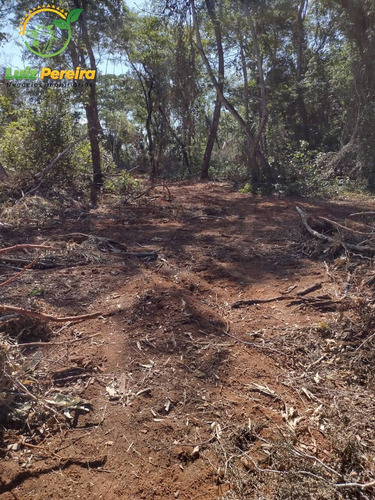 Imagem 4 de 9 de Fazenda À Venda Em Araguaína - To - 687,28 Hectares (dupla Aptidão) - 2109
