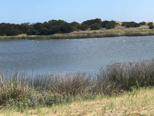 Lote Barrio Punta Médanos Venta