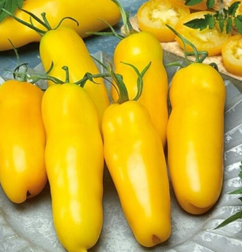 100 Semillas De Tomate Golden