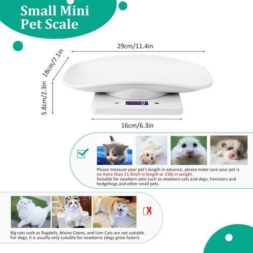 Báscula Para Reptiles Y Mascotas Pequeñas Con Pantalla Led