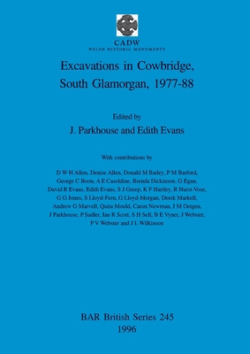 Libro Excavations In Cowbridge, South Glamorgan, 1977-198...