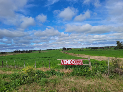  Campo, Chacra Sobre Ruta 1 Km 63.500 