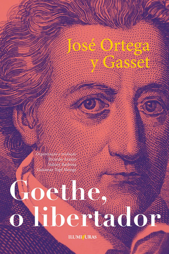 Goethe o libertador: e outros ensaios, de Ortega y Gasset, José. Editora Iluminuras Ltda., capa mole em português, 2022