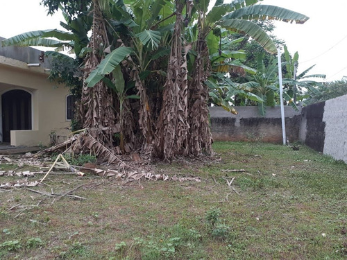 Imagem 11 de 30 de Chácara Em Parque Capivari, Duque De Caxias/rj De 3000m² 4 Quartos À Venda Por R$ 390.000,00 - Ch684259-s