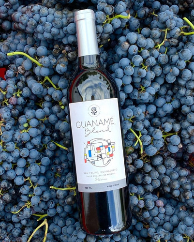 Imagen 2 de 2 de Vino Tinto Guaname Blend 750 Ml