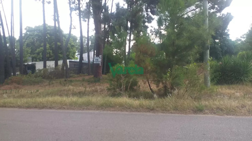 Terreno Parque Del Plata Norte, Sobre Av.con Bus En Puerta