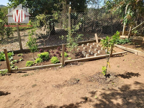 Chácara Com 03 Dormitórios, Pomar Formado, Excelente Localização À Venda, 1100 M² Por R$ 310.000 - Zona Rural - Pinhalzinho/sp - Ch0530